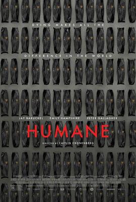 国产亚洲精品aaaa片小说-国产亚州精品女人久久久久久-中国国语毛片免费观看视频